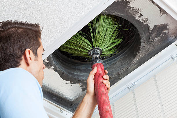 Best Professional Duct Cleaning Services  in Ocoee, FL